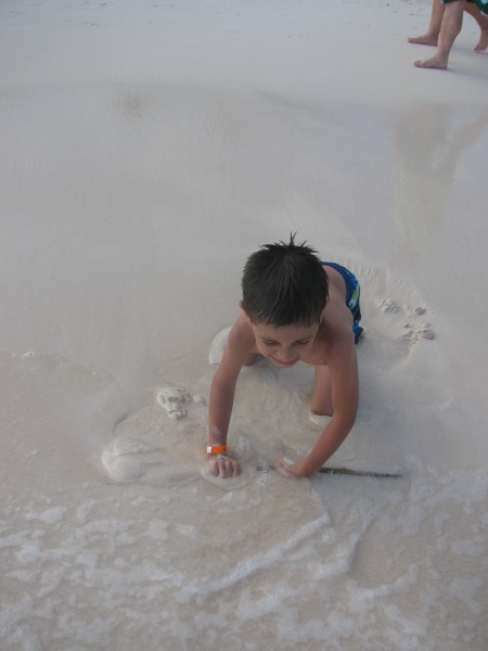 Dominican Republic 513.jpg